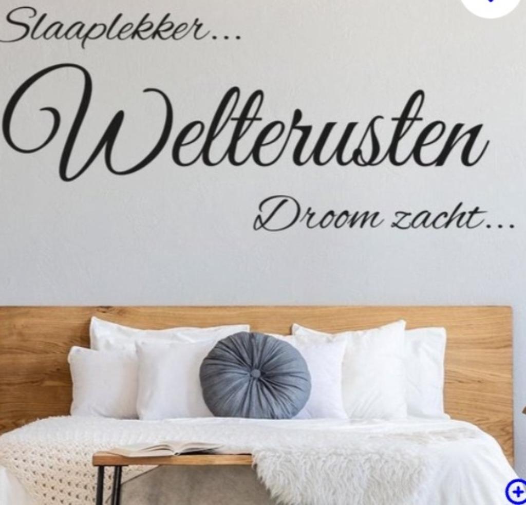 Beter slaap, nachrrust, gezondheid, Enlèvement ou Envoi, Neuf