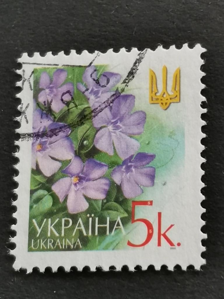 Oekraine 2002 - bloemen - Maagdenpalm, Ophalen of Verzenden, Overige landen, Gestempeld