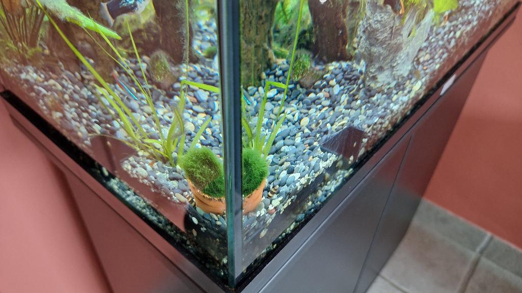 3D geprinte hoek schuilgrot – PETG zwart, Dieren en Toebehoren, Ophalen of Verzenden, Nieuw