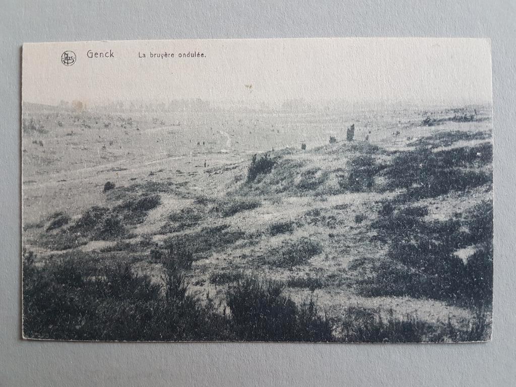 Postkaart Genk Genck La bruyère ondulée, Ophalen of Verzenden, 1920 tot 1940, Ongelopen, Limburg