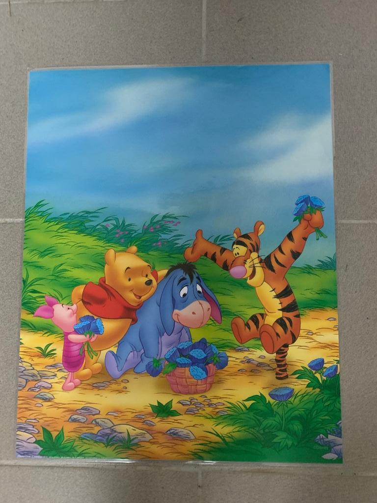 Poster winnie the pooh, Ophalen, Winnie de Poeh of vrienden, Gebruikt, Plaatje of Poster
