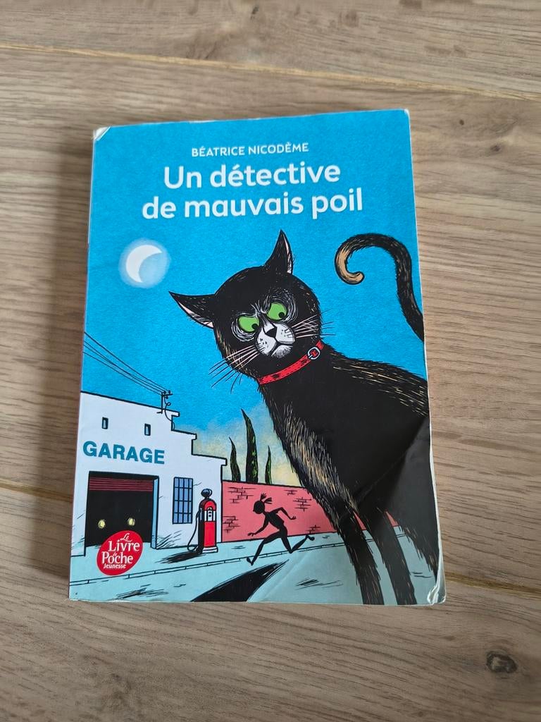 Un détective de mauvais poil. Met Nederlandse vertaling, Ophalen of Verzenden
