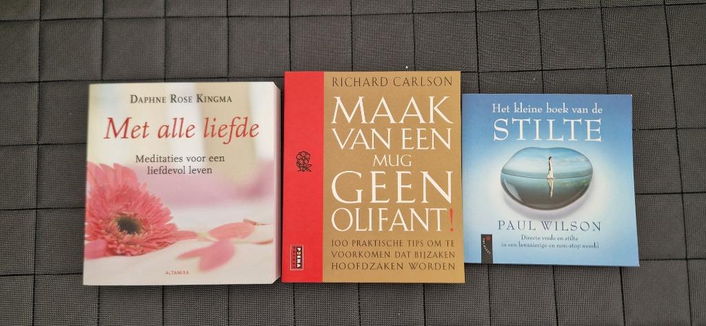 Boeken, Boeken, Ophalen of Verzenden, Zo goed als nieuw