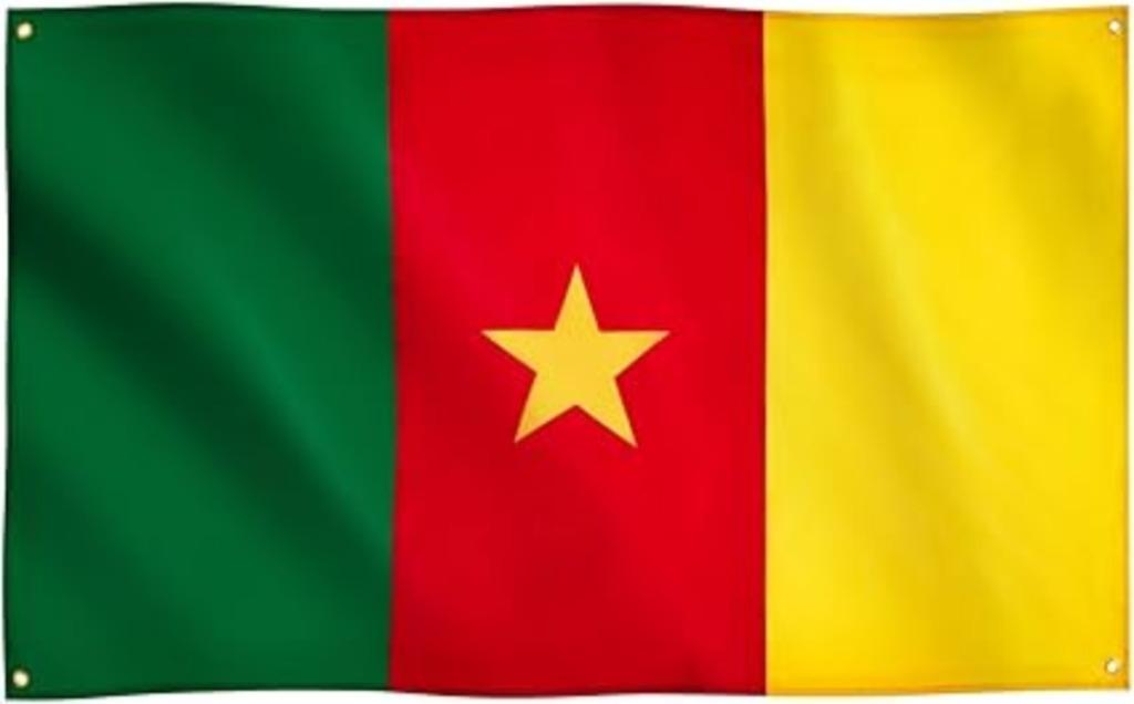 Drapeau du Cameroun | 91 x 152 cm | Nouveau, Divers, Drapeaux & Banderoles, Neuf, -, -, Runesol