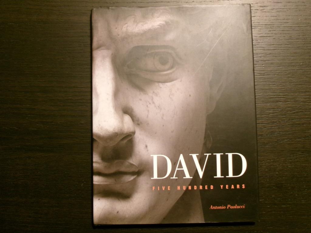 David   -Five hundred years-  Antonio Paolucci-, Enlèvement ou Envoi