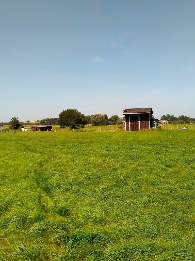 Prairie à vendre, Pâturage, 4 chevaux ou poneys ou plus
