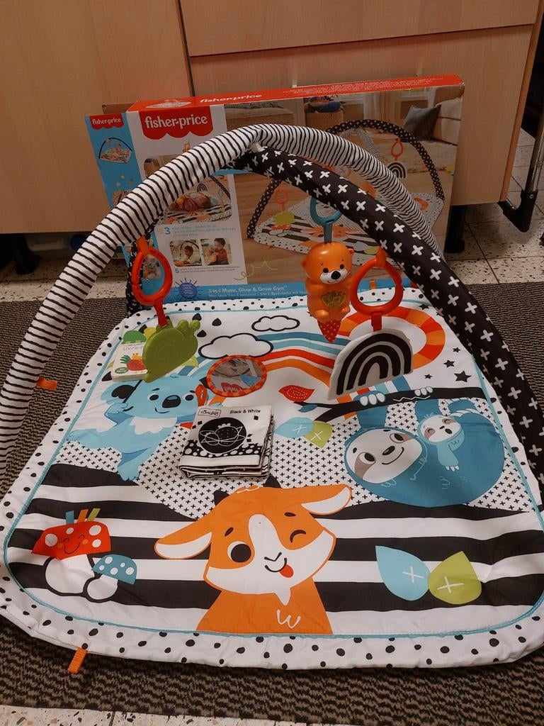 Tapis d eveil Fisher price. Avec 2 livres, Enlèvement, Comme neuf, Set de jeu, Sonore