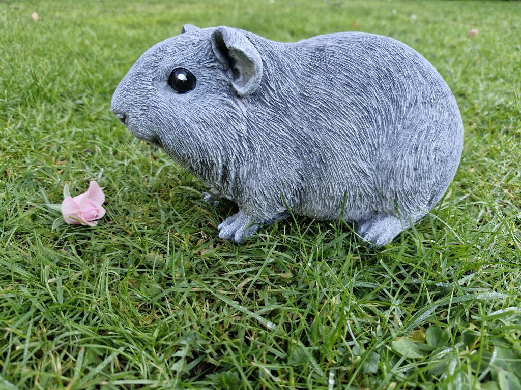 cavia beeld, Ophalen of Verzenden, Nieuw, Dier