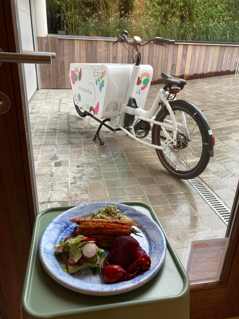 Urban Arrow Cargo White box L, Fietsen en Brommers, Elektrische fietsen, Gebruikt, 47 tot 51 cm, 30 tot 50 km per accu, Ophalen