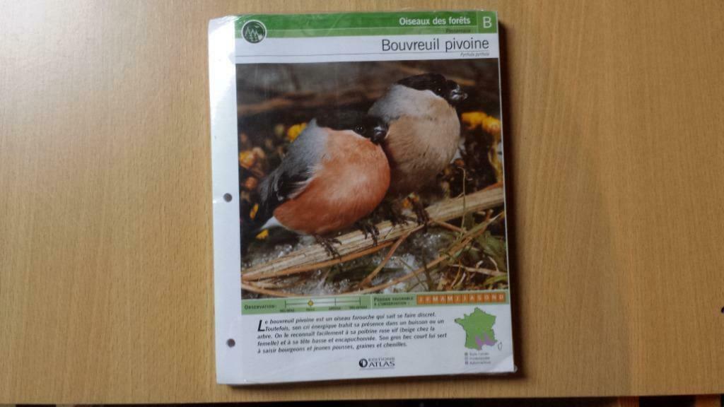 Oiseaux - 60 fiches - Editions Atlas, Enlèvement ou Envoi, Neuf