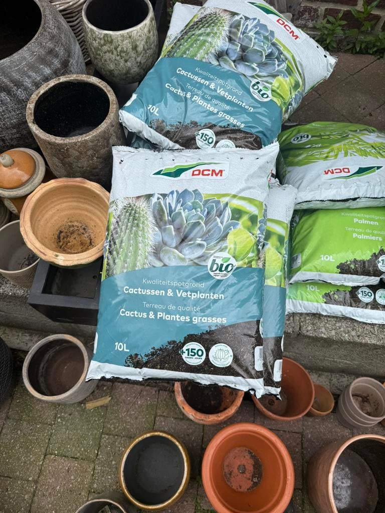 Dcm cactus en vetplanten grond 10 l, Tuin en Terras, Aarde en Mest, Ophalen