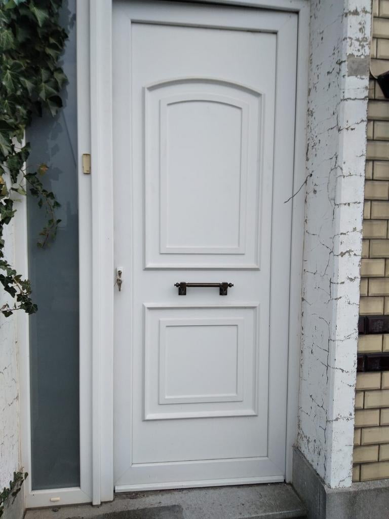PVC Buitendeur, Doe-het-zelf en Bouw, Ophalen, Buitendeur