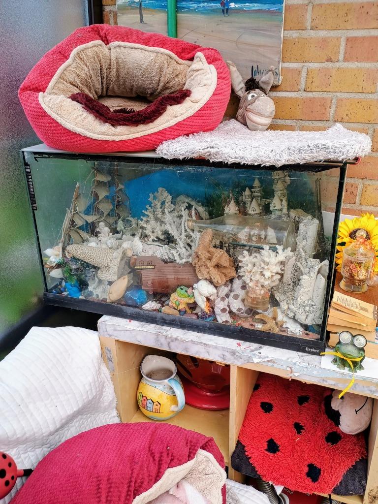 Aquarium, Dieren en Toebehoren, Ophalen, Zo goed als nieuw