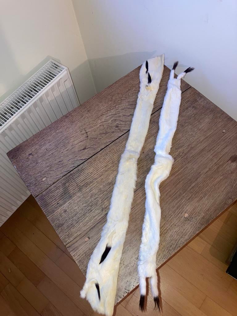 2 tours du coup anciens en fourrure blanche, Antiquités & Art, Femmes