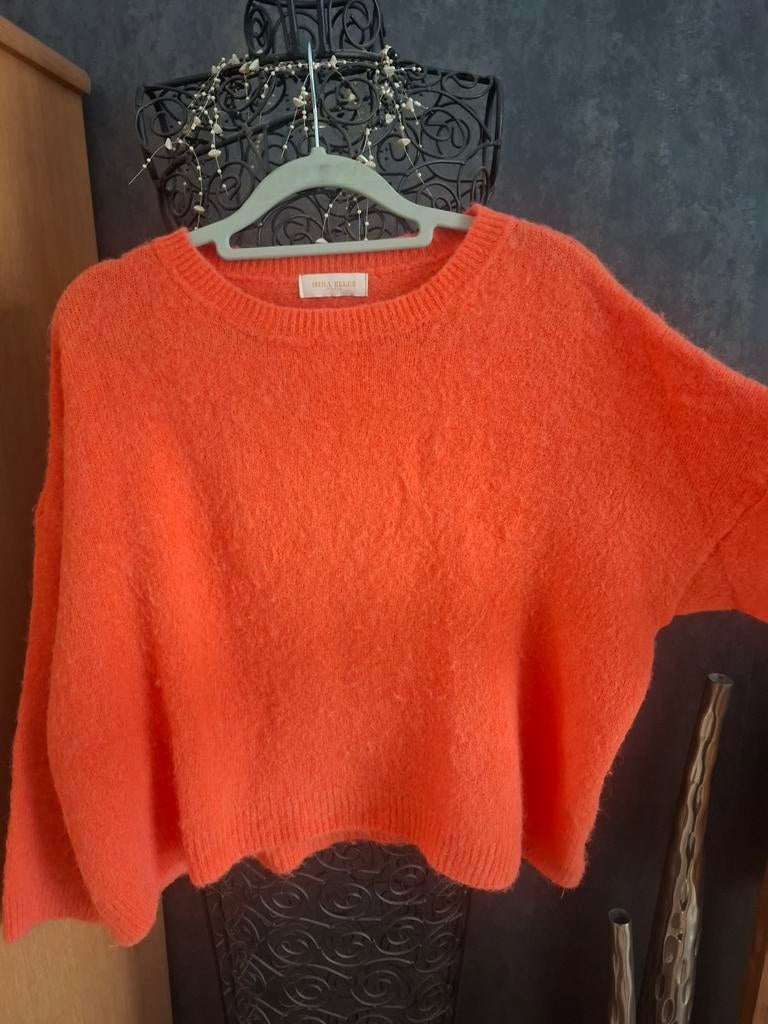 Mooie warme oranje trui, zacht, Mika Elles TU, Kleding | Dames, Mika Elles, Ophalen of Verzenden, Zo goed als nieuw, Maat 38/40 (M)