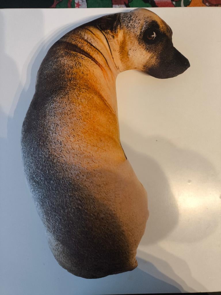 Hond kussen pop, Ophalen of Verzenden, Zo goed als nieuw, Overige typen