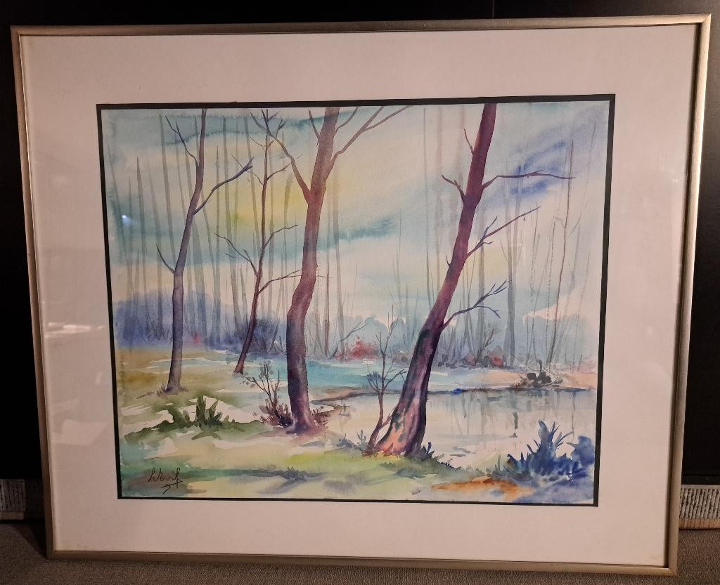 Aquarellen 2 stuks aangeboden., Antiek en Kunst, Ophalen