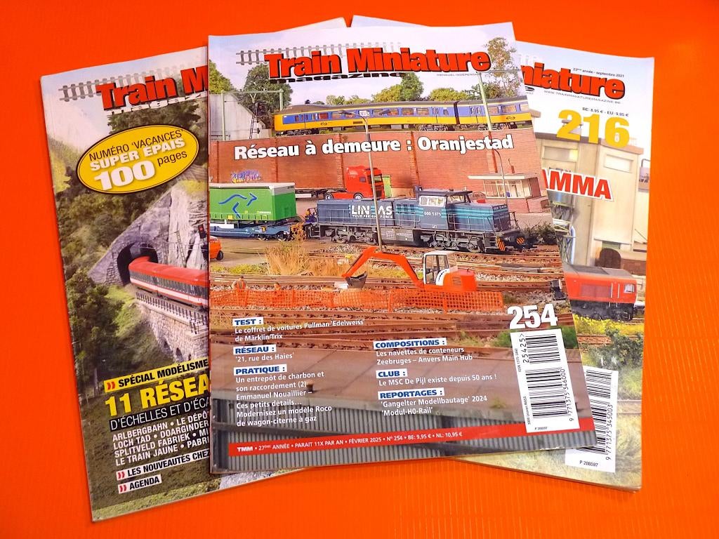 TRAIN MINIATURE magazine - A LA DEMANDE: LE NUMÉRO MANQUANT, Collections, Trains & Trams, Utilisé, Train, Enlèvement ou Envoi