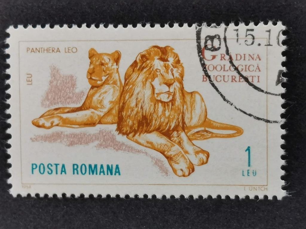 Roemenie 1964 - leeuwen - Boekarest Zoo, Postzegels en Munten, Ophalen of Verzenden, Gestempeld, Dier of Natuur