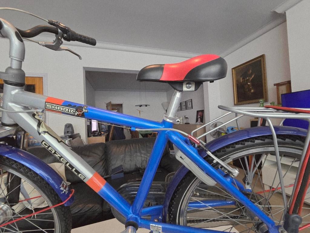 Vélo Gazelle pour jeunes 24 pouces/2, Vélos & Vélomoteurs, Vélos | Hommes | Vélos de sport & Vélo de randonnée, Moins de 10 vitesses
