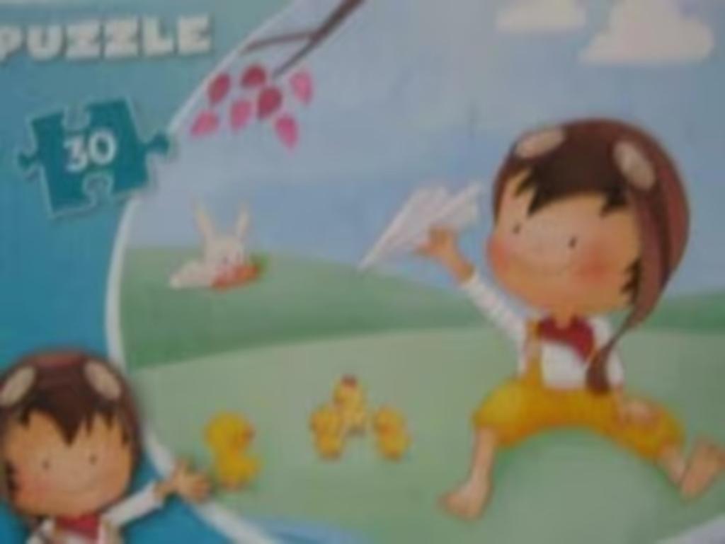 Legpuzzels voor kinderen en volwassenen /  grote keuze, Ophalen of Verzenden, Gebruikt