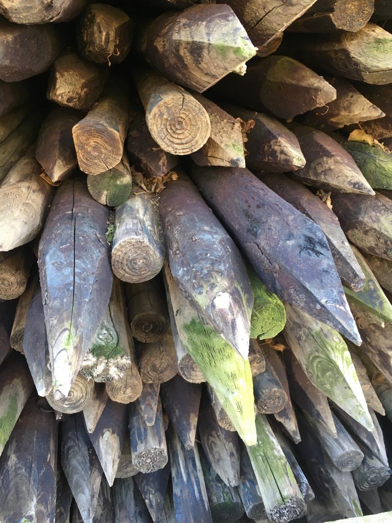 Boompalen schuttingpaal houten palen, Enlèvement, Comme neuf, 250 cm ou plus, Poteaux