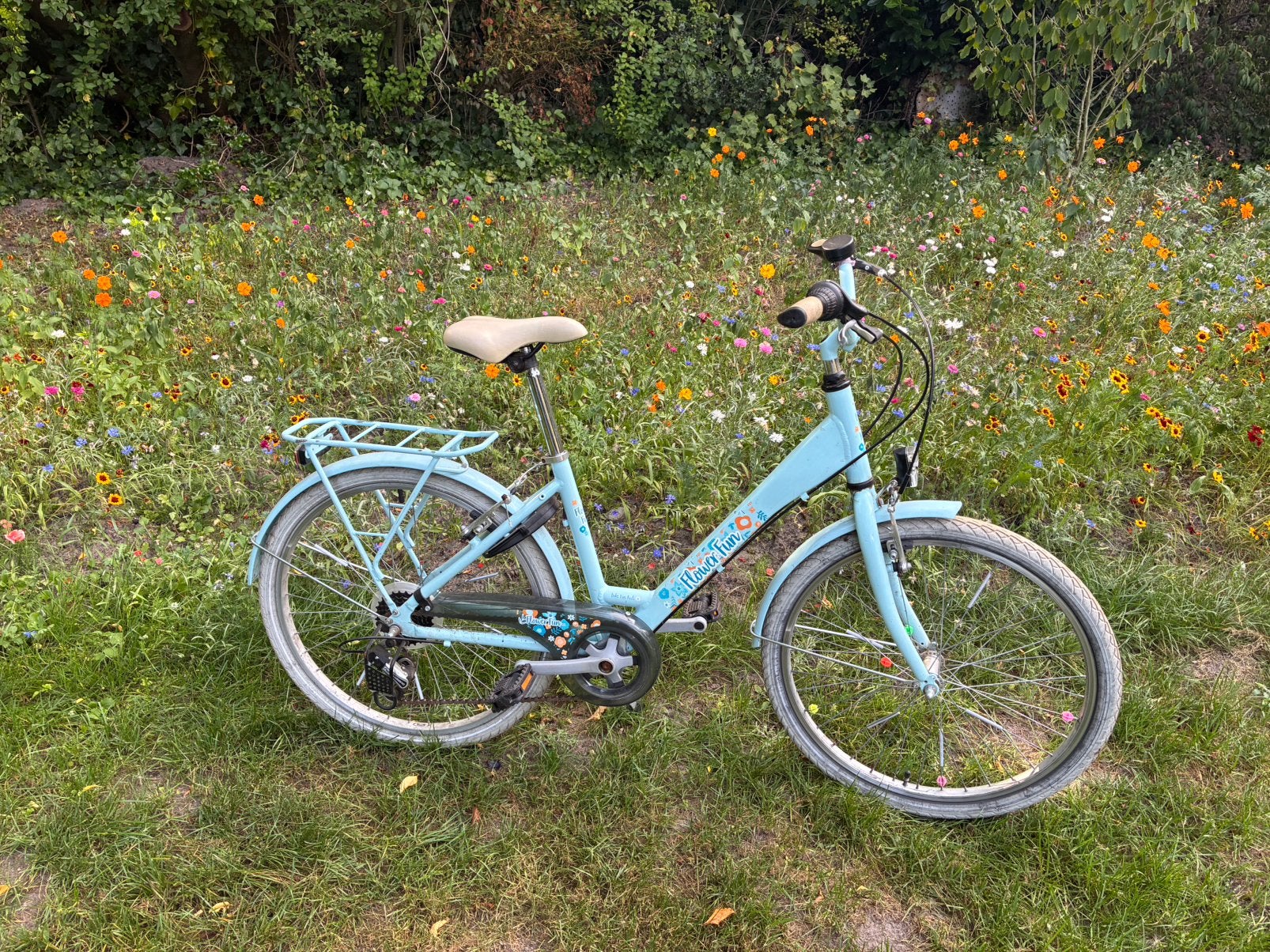 24 inch meisjes fiets, Ophalen, Zo goed als nieuw, 24 inch, Versnellingen