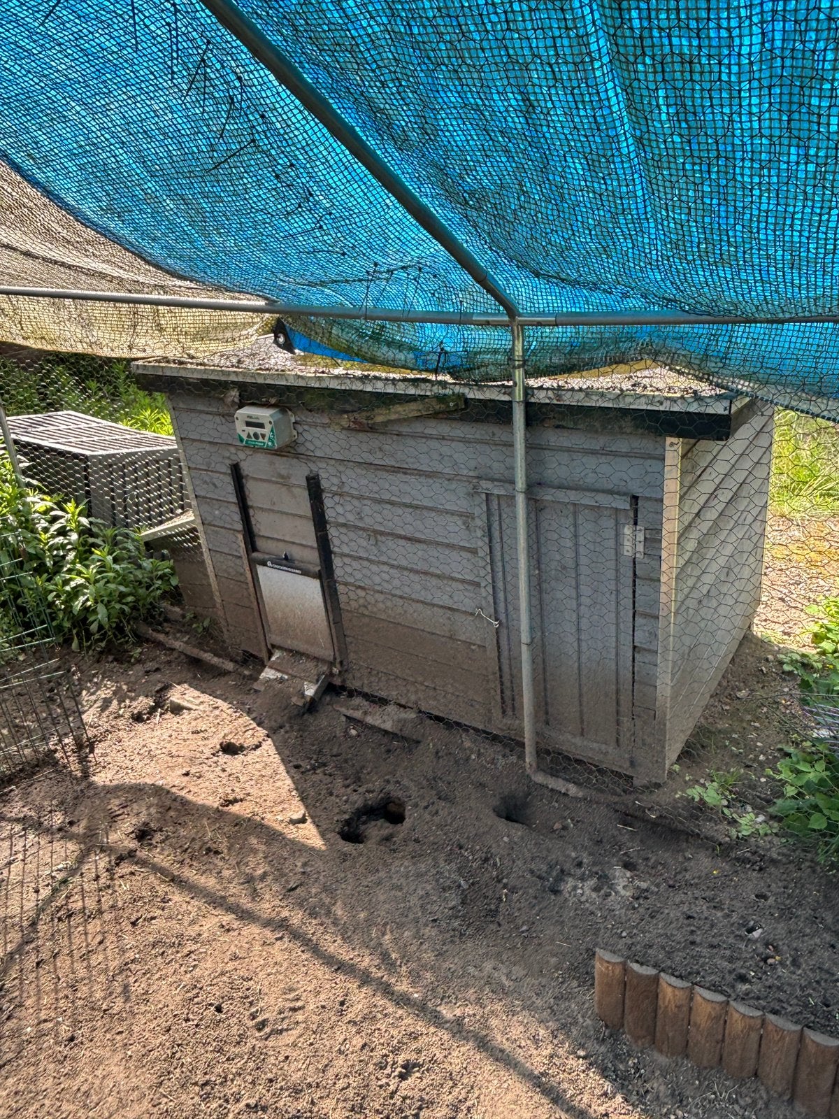Groot kippenhok + chicken guard, Dieren en Toebehoren, Ophalen, Gebruikt, Kippenhok of Kippenren