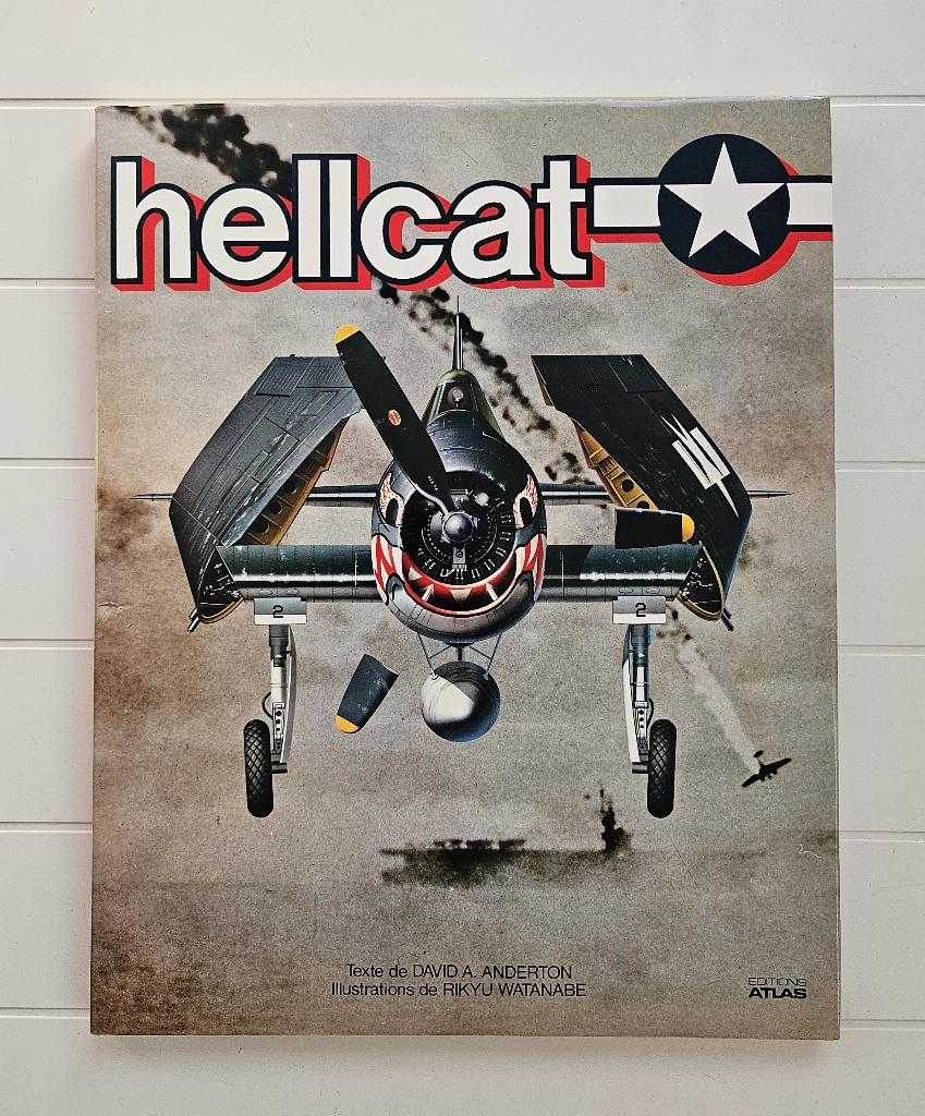 Grumman F6F Hellcat - Série Rikyu, Livres, Rikyu Watanabe, Enlèvement ou Envoi, Deuxième Guerre mondiale, Utilisé