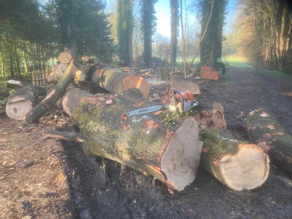 Brandhout, Tuin en Terras, Brandhout, 6 m³ of meer, Ophalen of Verzenden, Eikenhout, Blokken