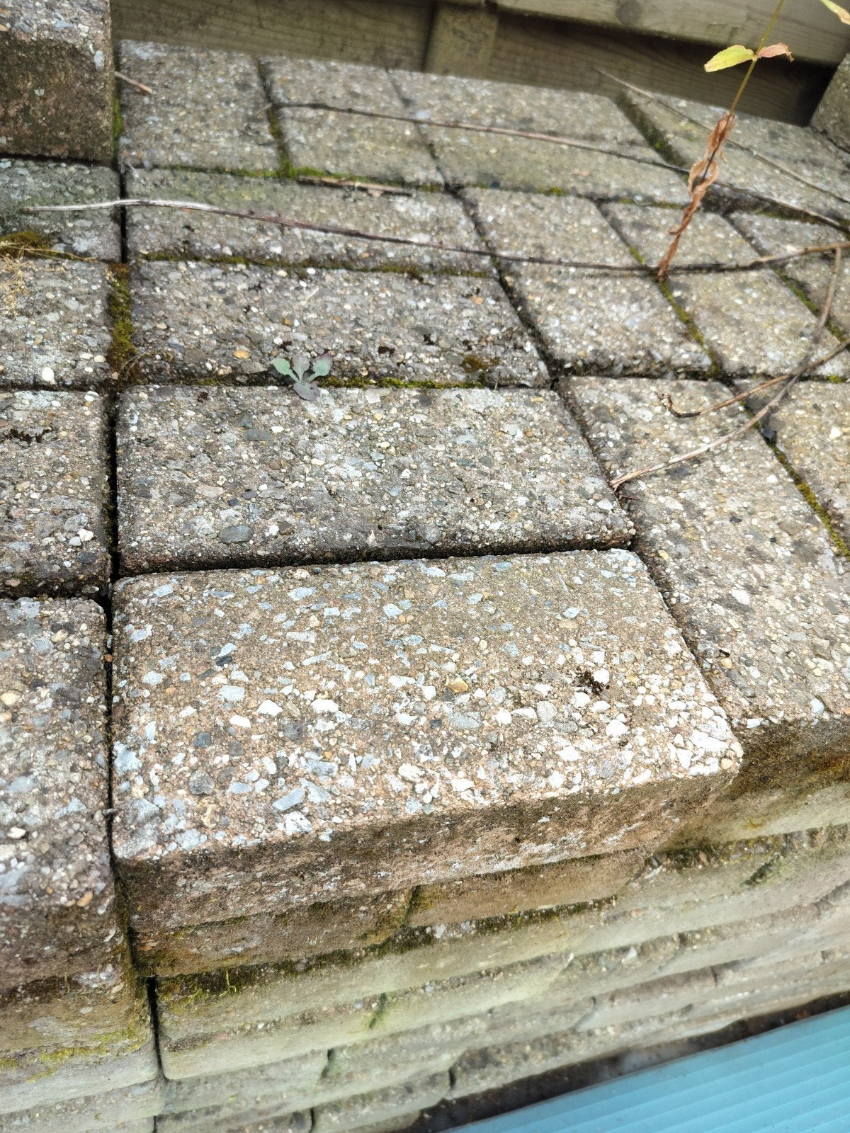 gratis klinkers, Tuin en Terras, Tegels en Klinkers, Ophalen, Klinkers