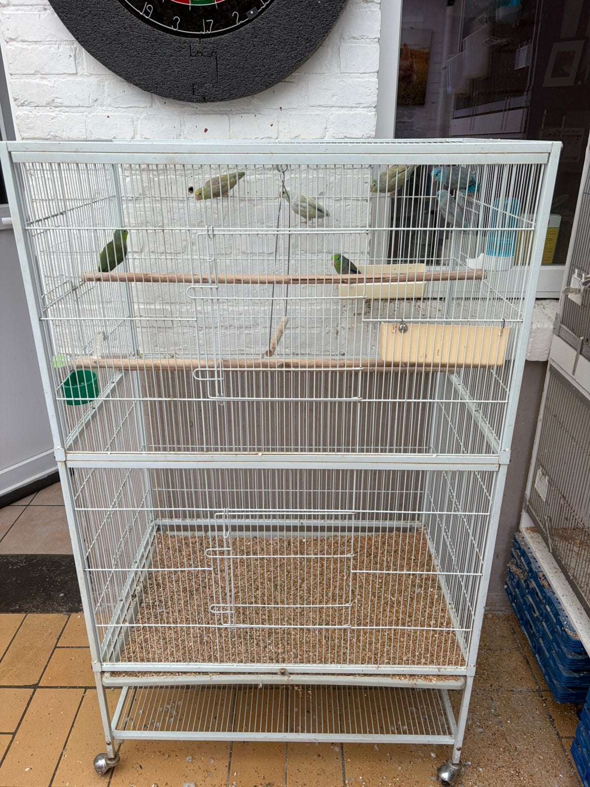 Forpussen 5 vogels, Enlèvement, Comme neuf