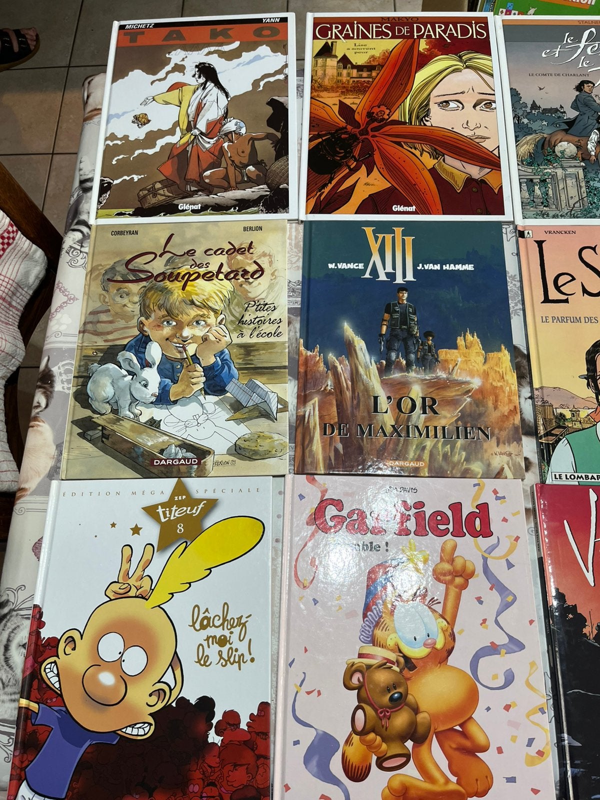 Lot de livres BD cartonné en très bon état, Livres, BD, Plusieurs BD, Enlèvement, Comme neuf