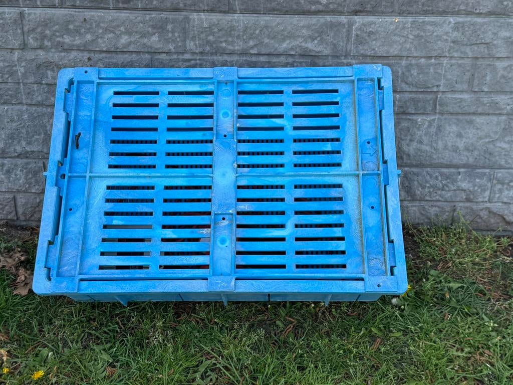 Quarantaine, behandel, inspectie fotografie basket koi, Tuin en Terras, Ophalen of Verzenden, Zo goed als nieuw
