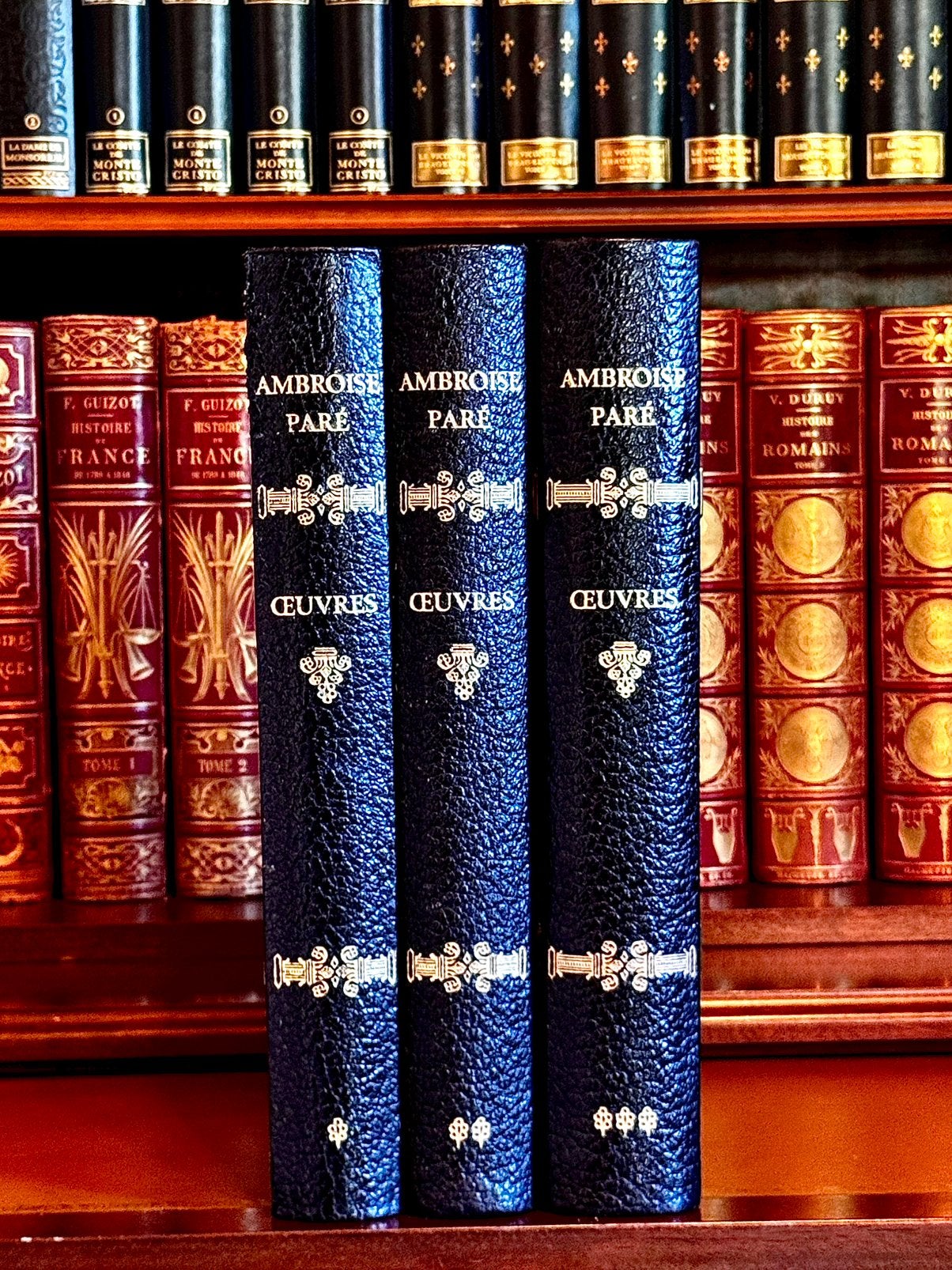 Art Editor Works in beperkte oplage van Ambroise Paré, Verzenden, Zo goed als nieuw