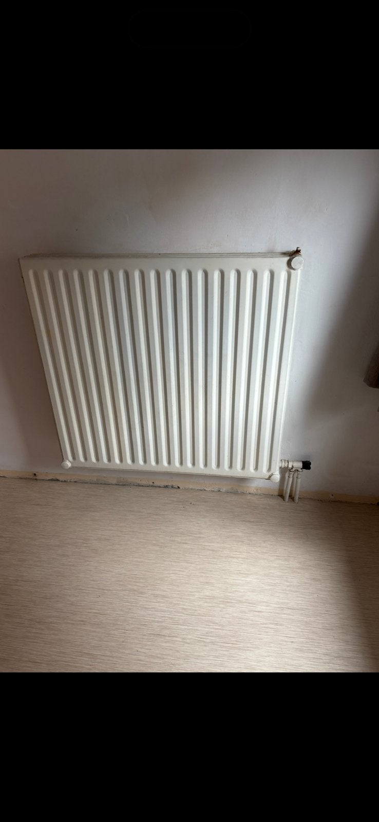Ancien radiateur, Bricolage & Construction, Enlèvement, Utilisé, Radiateur, 30 à 80 cm