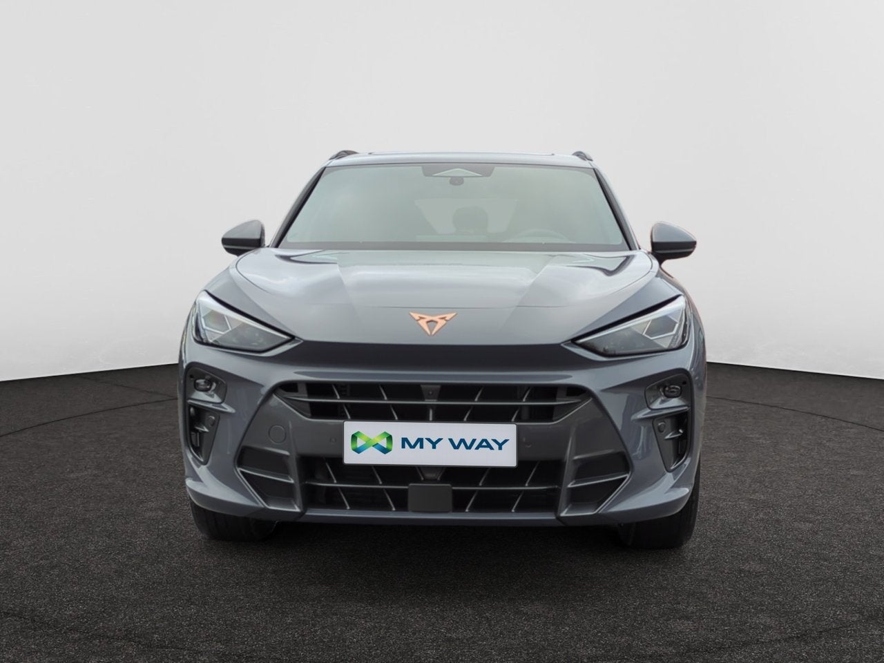 Cupra Terramar VZ 2.0 TSI 265ch DSG 4Drive, Autos, Argent ou Gris, Achat, Terramar, Automatique