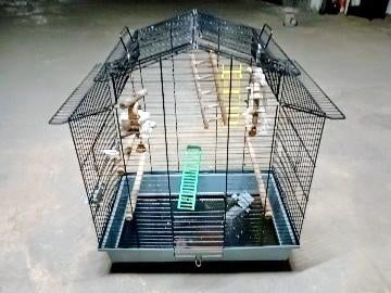 Vogelkooi, Dieren en Toebehoren, Papegaai