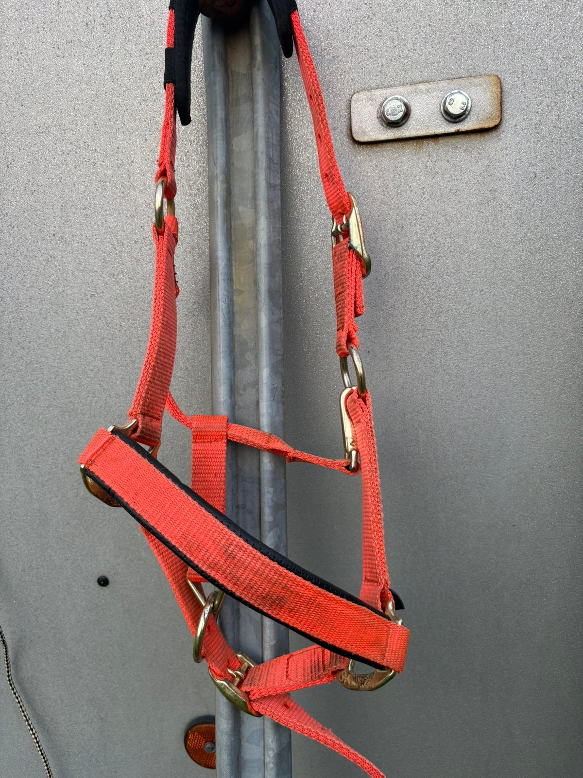 Shire halster – maat Pony, Dieren en Toebehoren, Ophalen, Oranje, Halster, Pony