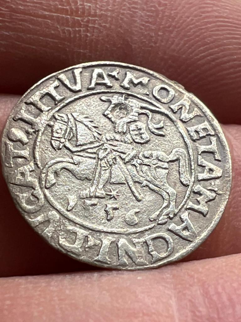 Pologne : Demi-Grand Sigismond II, août 1556, Enlèvement, Pologne