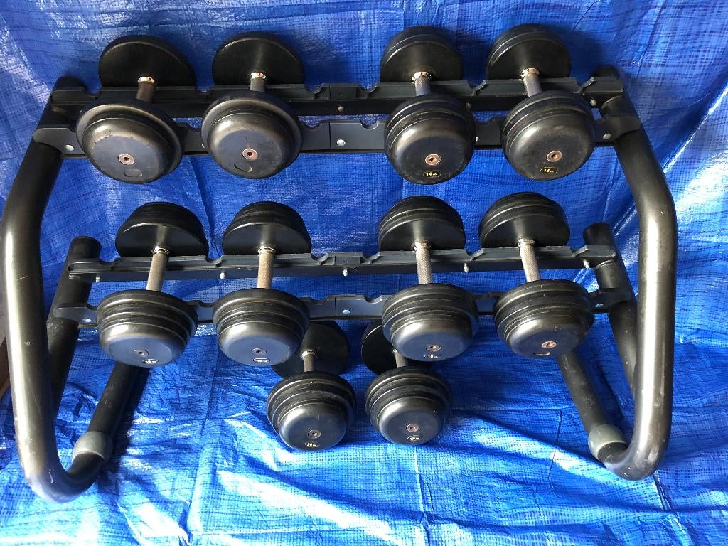 vaste dummbells + stevig Technogym rek, Sport en Fitness, Ophalen