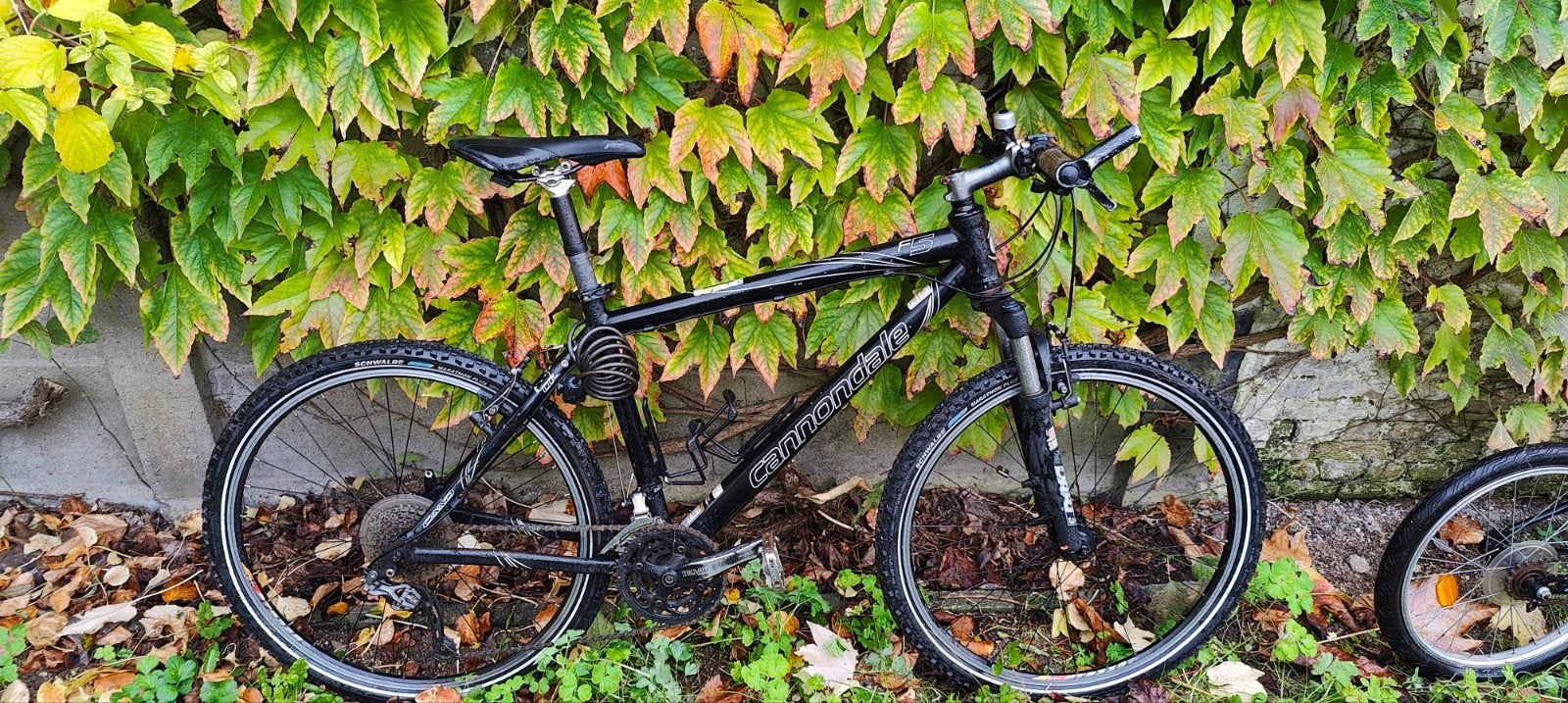 canondale mountainbike, Ophalen