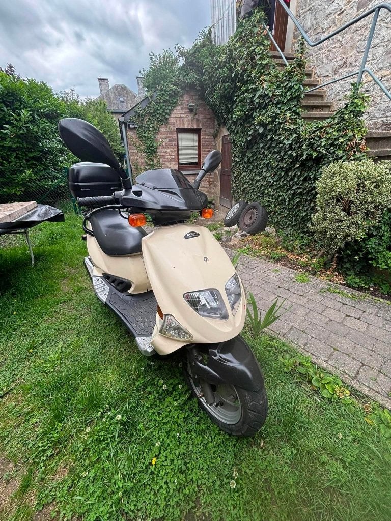 Scooter pgo t-rex 125, Motos
