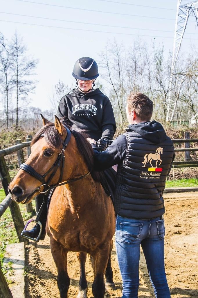 Gediplomeerd trainer voor ruiter en paard, Dieren en Toebehoren, B