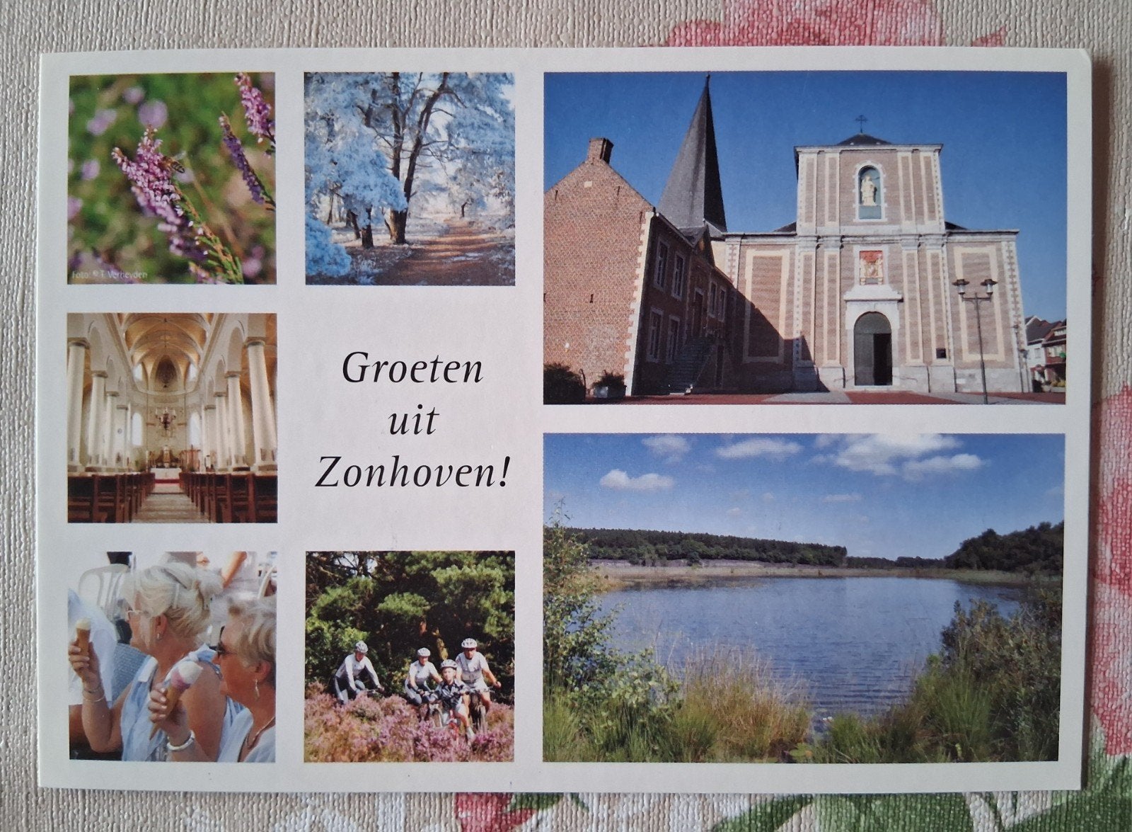 postkaart Zonhoven, Collections, Cartes postales | Belgique, Enlèvement ou Envoi
