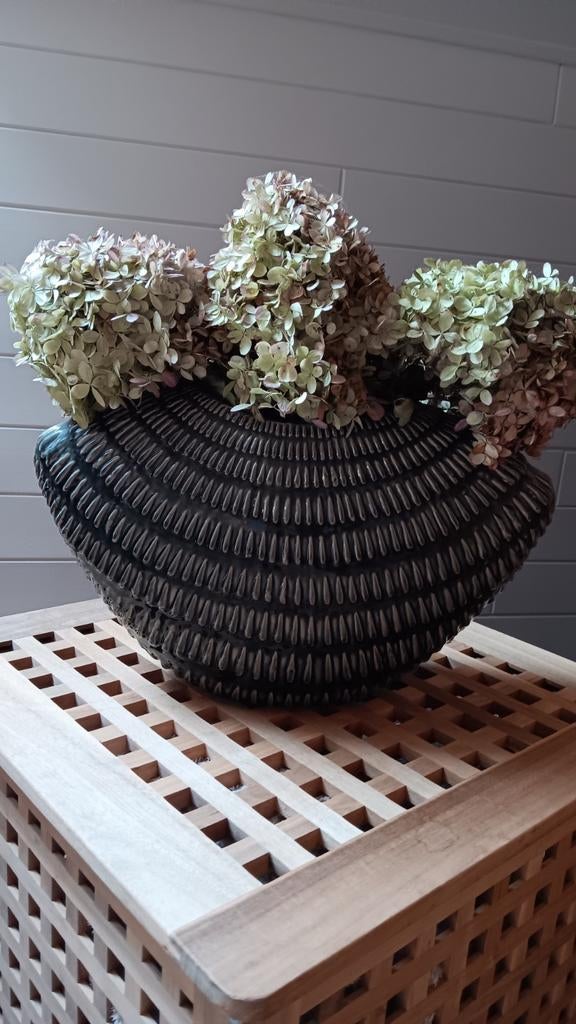 Decoratieve schelp, Ophalen