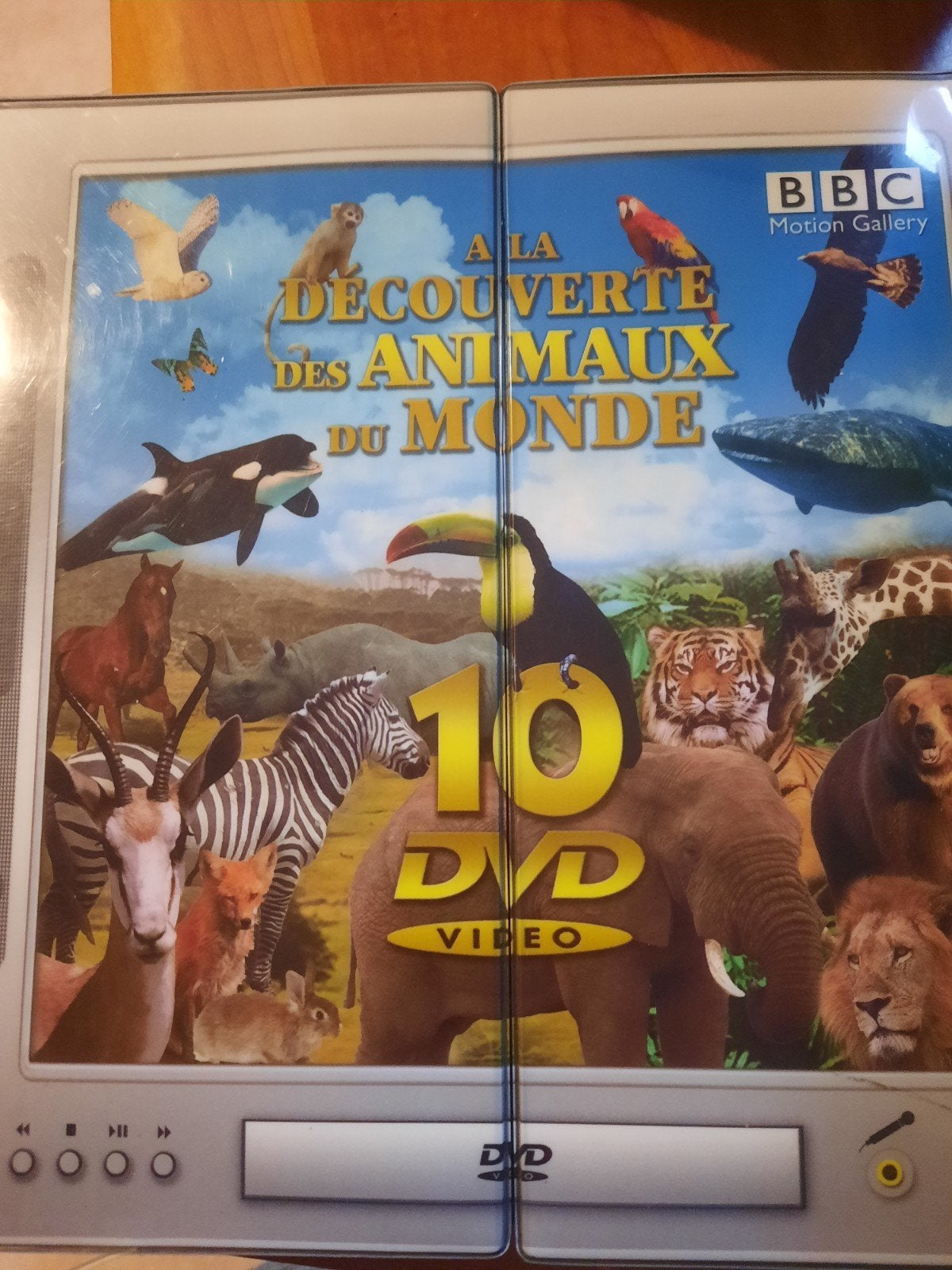 dvd vidéo  à la découverte des animaux du monde, Cd's en Dvd's, Alle leeftijden, Ophalen of Verzenden, Dieren