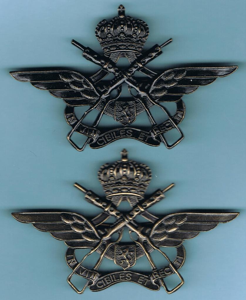 2 x Belgian Air Force UDA/VVE insignia ( H3 ), Verzamelen, Militaria | Algemeen, Ophalen of Verzenden, Luchtmacht, Embleem of Badge