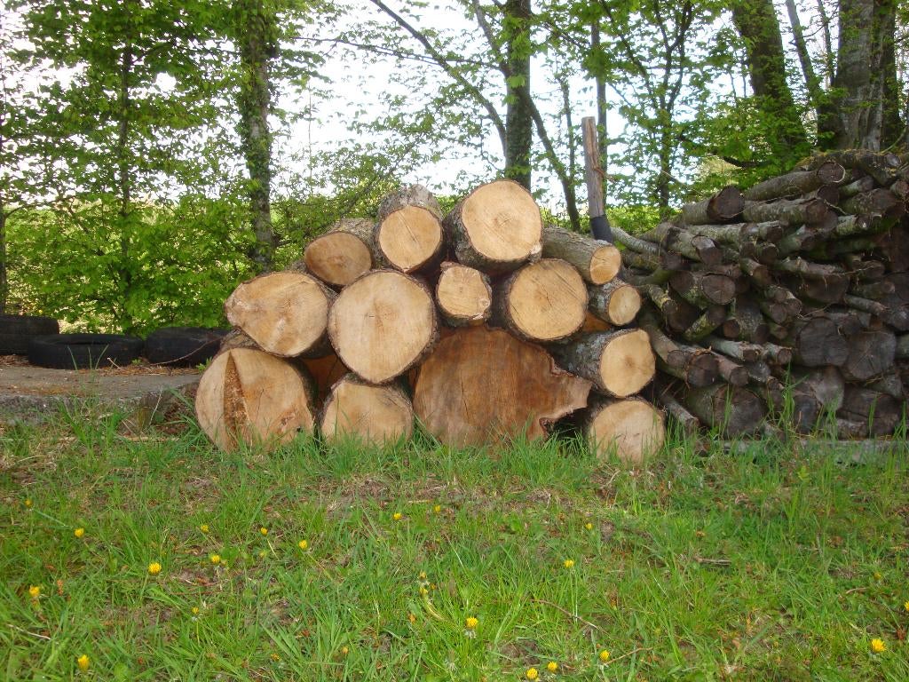 bois de chauffage, Tuin en Terras, Brandhout, Elzenhout, Ophalen