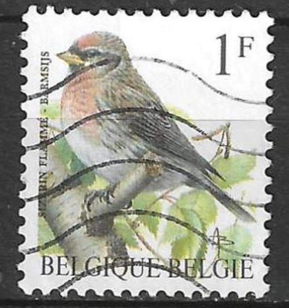 Belgie 1992 - Yvert/OBP 2457 - Buzin - Barmsijs - 1 F (ST), Verzenden, Gestempeld, Gestempeld, Voertuigen